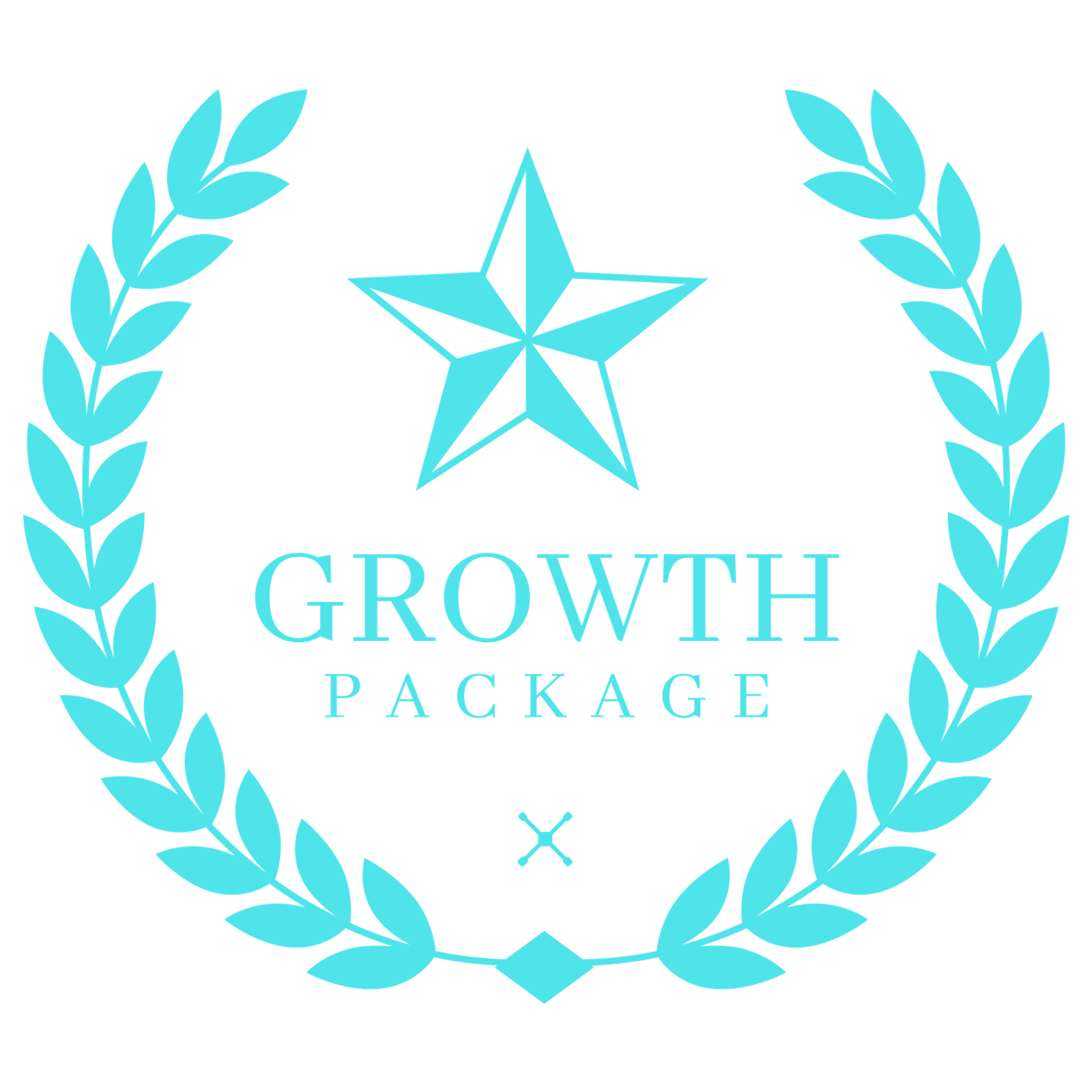 Growth Package